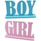 Boy Girl Wooden Table Decorations,Gender Reveal Table Decorations Boy Girl Letter Table Signs with Bases Decorative Centerpieces Signs Wooden Tabletop Decor for Tier Tray,School Supplies(1set)